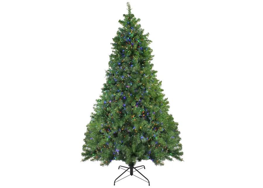 7.5' Pre-Lit Full Pike River Fir Artificial Christmas Tree - Multicolor LED Lights