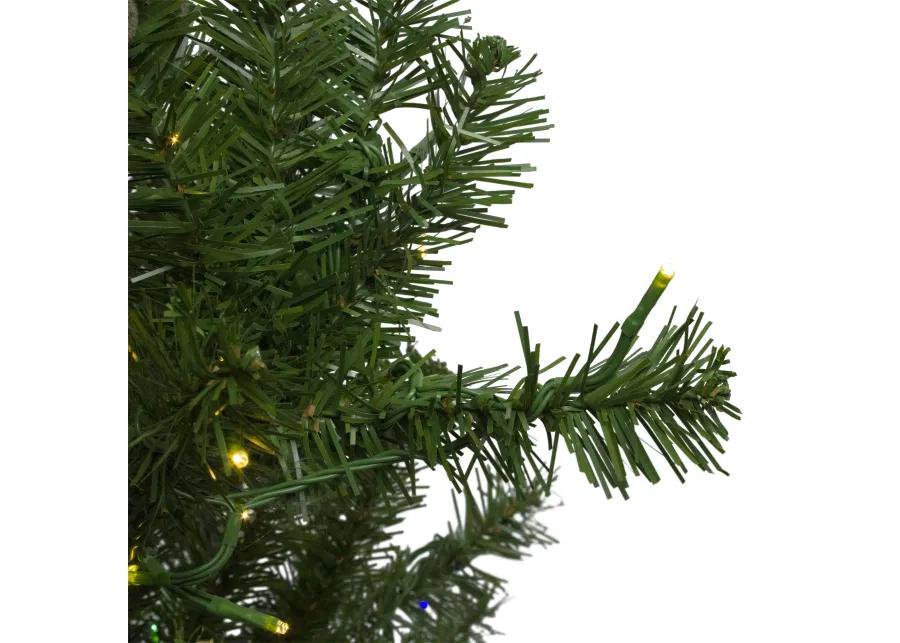 7.5' Pre-Lit Full Pike River Fir Artificial Christmas Tree - Multicolor LED Lights