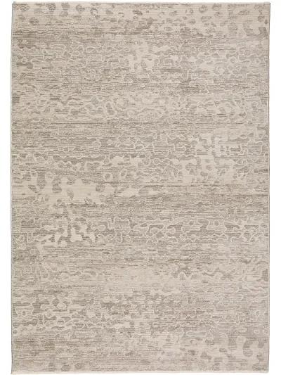 Denizi DZ6 Silver 5'3" x 7'8" Rug