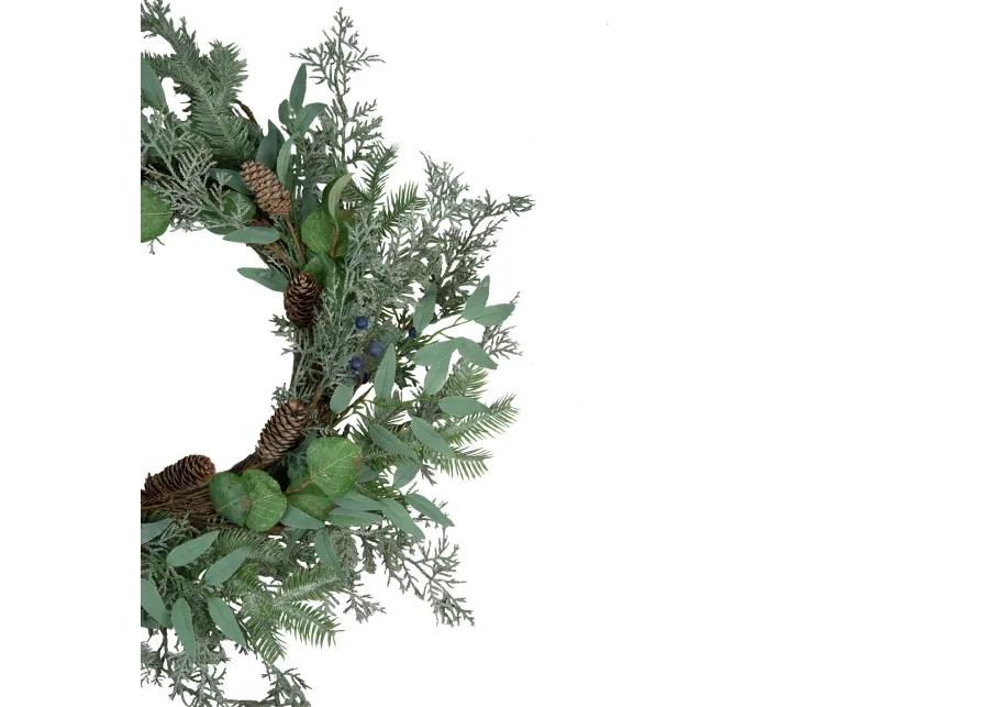 Frosted Green Mixed Foliage and Blueberries Artificial Christmas Wreath  26-Inch  Unlit