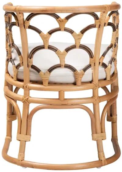 Bali & Pari Aster Modern Bohemian Natural Brown Rattan Armchair