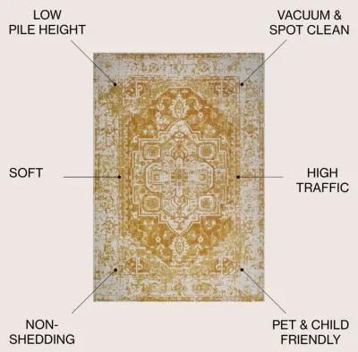 Audrey Bohemian Ornate Medallion Area Rug