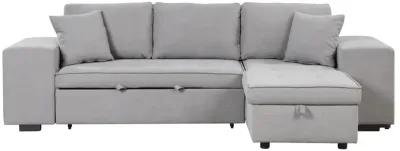 3-Seat Sleeper Sofa Sectional with Storage Chaise & Stools