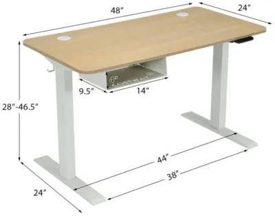 Hivvago 48 Inches Electric Standing Adjustable Desk with Control Panel and USB Port-Beige