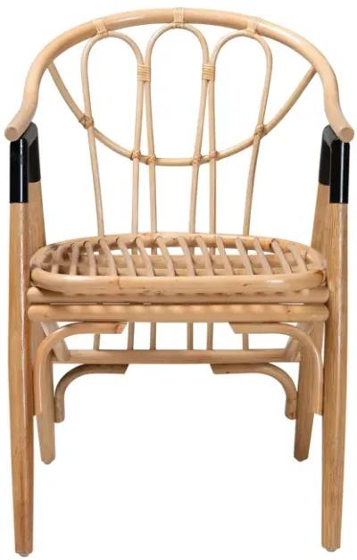 Bali & Pari Cyntia Modern Bohemian Natural Brown Rattan Dining Chair