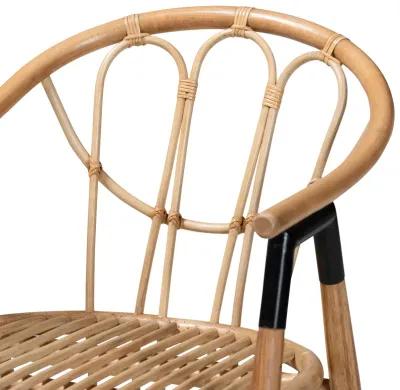 Bali & Pari Cyntia Modern Bohemian Natural Brown Rattan Dining Chair