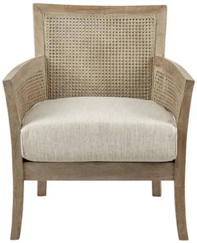 Madison Park Diedra Accent Chair