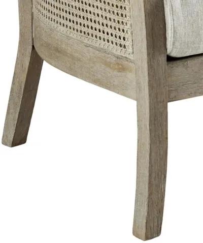 Madison Park Diedra Accent Chair