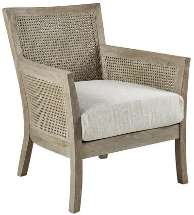 Madison Park Diedra Accent Chair