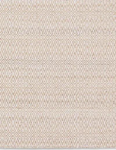 Almas Imogen Tan/Taupe 9' x 12' Rug