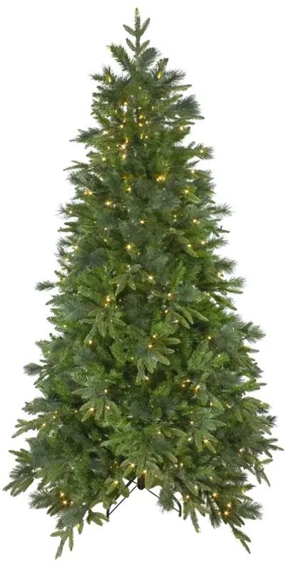 6.5' Pre-Lit Rosemary Emerald Angel Pine Artificial Christmas Tree - Warm White LED Lights