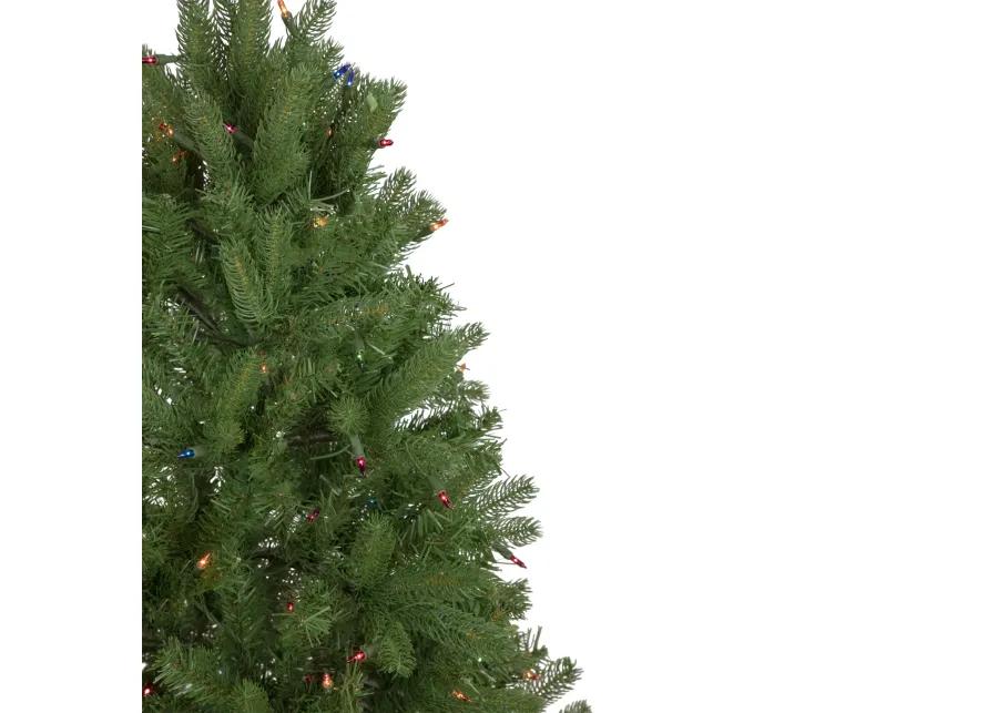 4' Pre-Lit Full Sierra Noble Fir Artificial Christmas Tree  Multi Lights