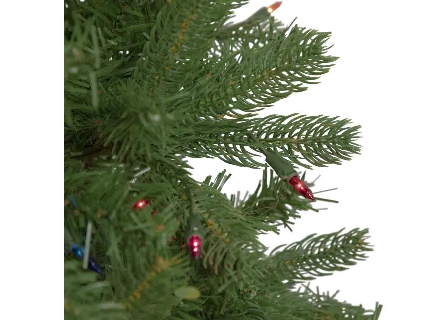 4' Pre-Lit Full Sierra Noble Fir Artificial Christmas Tree  Multi Lights