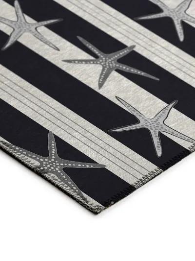 Seabreeze SZ12 Black 20" x 30" Rug