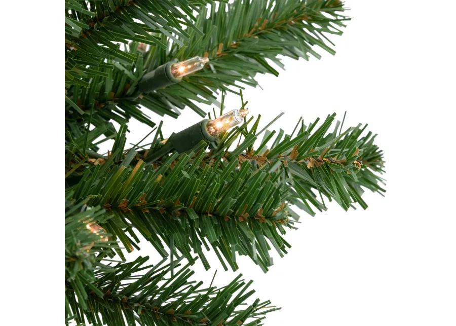 28" Pre-Lit Dorchester Pine Artificial Christmas Swag  Clear Lights