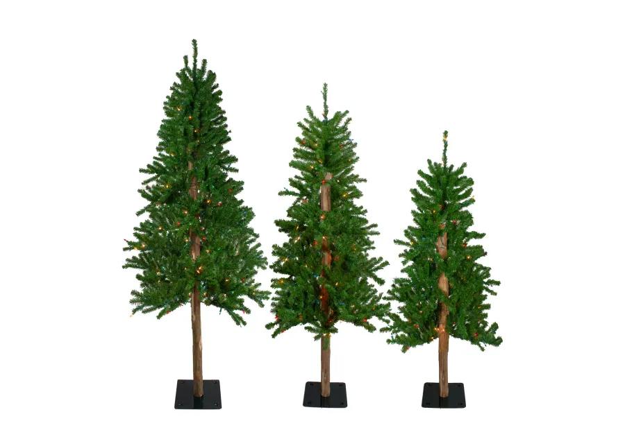 Set of 3 Pre-Lit Slim Alpine Artificial Christmas Trees 6' - Multi Lights