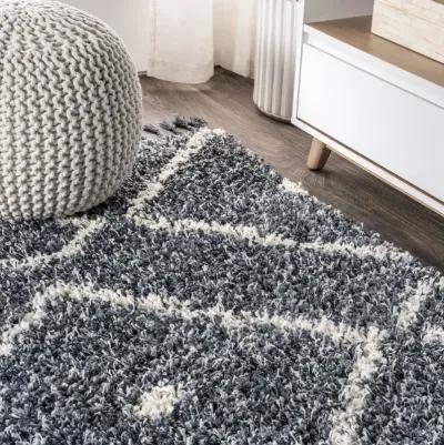 Mercer Shag Plush Tassel Moroccan Diamond Area Rug