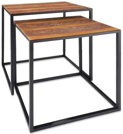 Homezia Set Of 2 Rectangular Black Powder Coated Frame And Rattlesnake Faux Leather Top Nesting End Tables