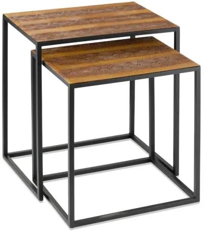 Homezia Set Of 2 Rectangular Black Powder Coated Frame And Rattlesnake Faux Leather Top Nesting End Tables