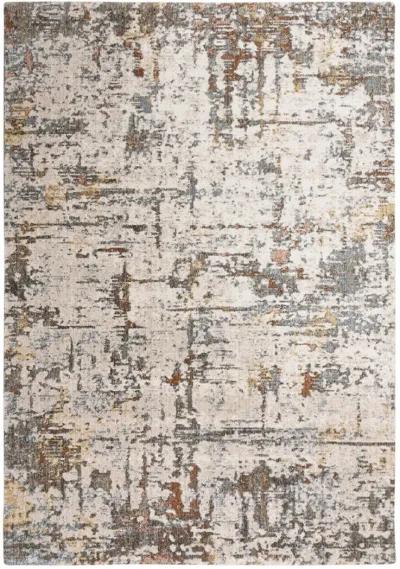 Jasper JAS739 9' x 12' Rug