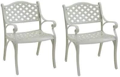 MOMDAWE Cast Aluminum Stationary Dining Chairs Hollow Oblique Grid Shape Chairs（Set of 2）