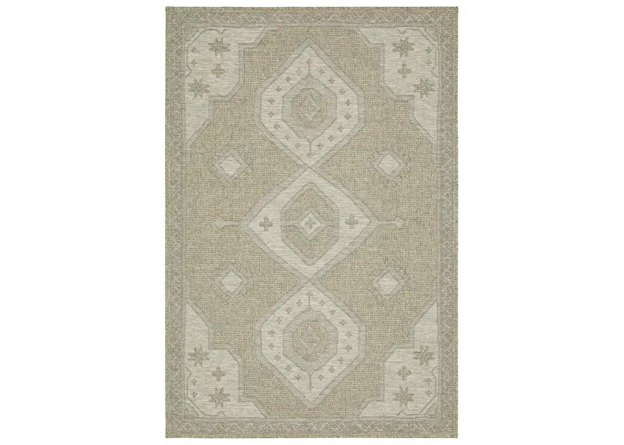 Tortuga 9'10" x 12'10" Beige Rug