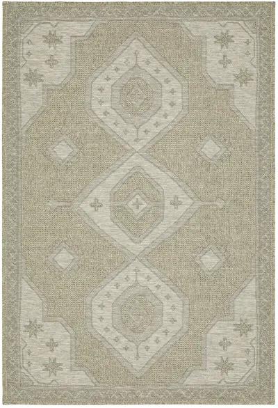 Tortuga 9'10" x 12'10" Beige Rug