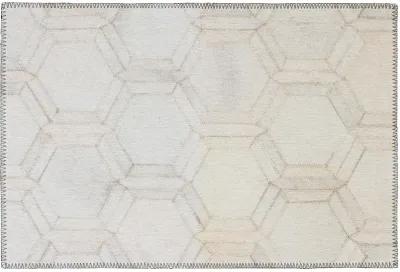 Stetson SS1 Linen 20" x 30" Rug