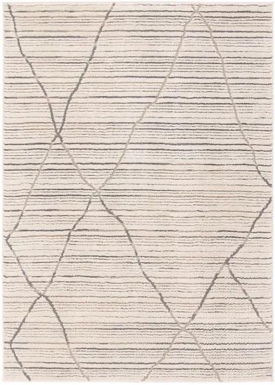 Sachi Jaida 6'x9' Rug