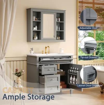 Mirror Vanity with Storage Cabinet Modern Bathroom Vanity Set in Grey