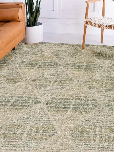 Carmona CO8 Mist 5'1" x 7'5" Rug