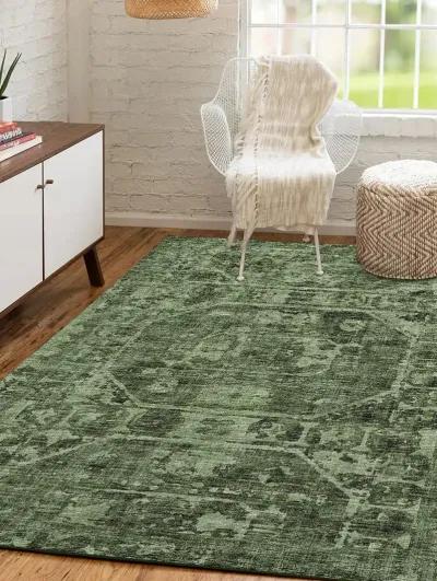 Aberdeen AB2 Cactus 3' x 5' Rug