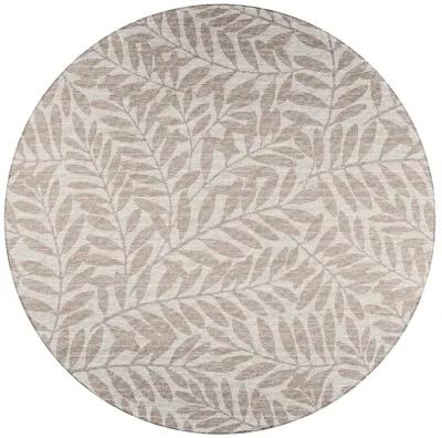 Sedona SN5 Putty 4' Rug