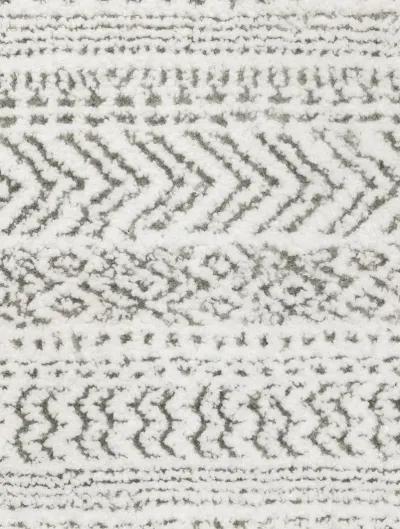 Montecito 9'10" x 12'10" Wht Rug