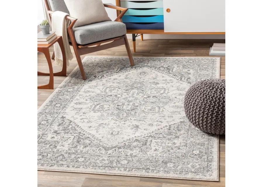 Chester CHE-2312 6'7' x 9' Gray Rug