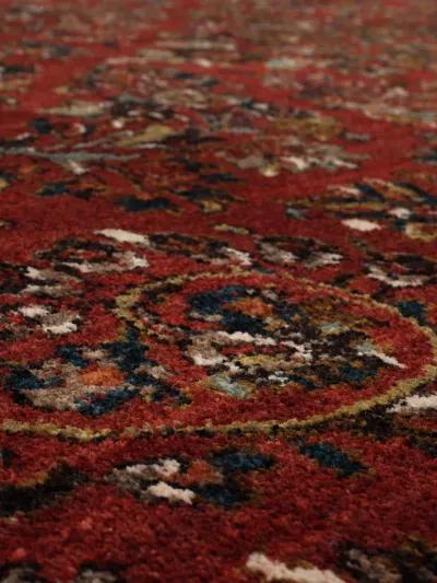 Spice Market Berdan Garnet 8' X 11' Rug