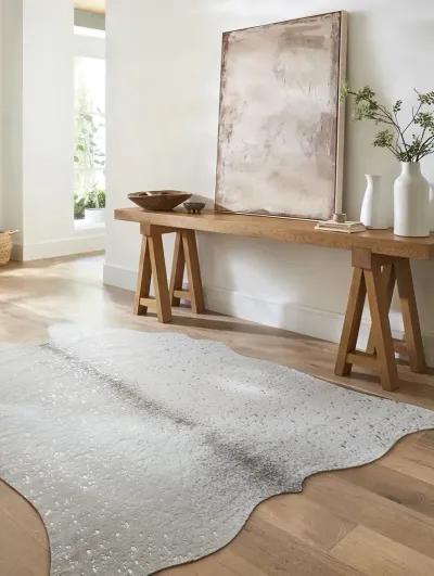 Bryce BZ09 Stone/Silver 3'10" x 5' Rug