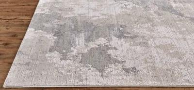 Prasad 3970F Ivory/Gray 5' x 8' Rug