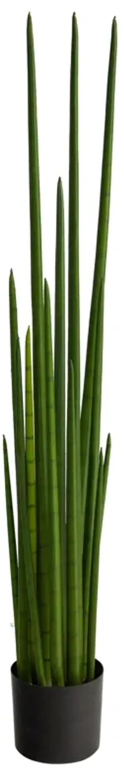 HomPlanti 5" Sansevieria Snake Artificial Plant