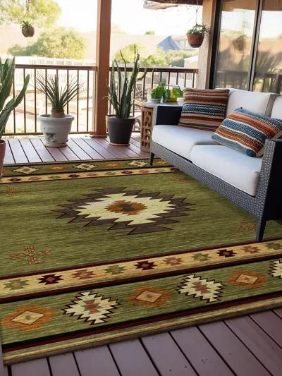 Phoenix PH4 Cactus 30" x 46" Rug