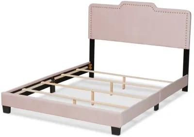 Baxton Studio Benjen Glam Light Pink Velvet Fabric Upholstered Queen Size Panel Bed