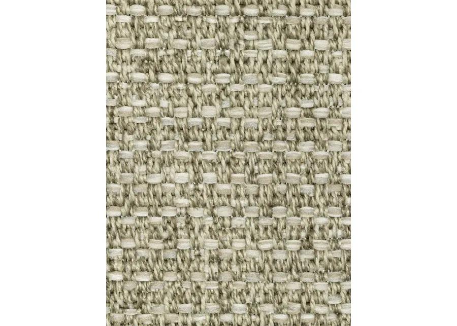 Tortuga 3'3" x 5' Beige Rug