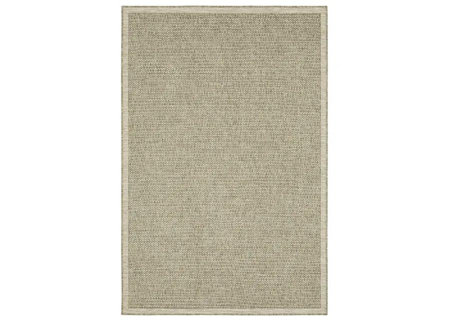 Tortuga 3'3" x 5' Beige Rug