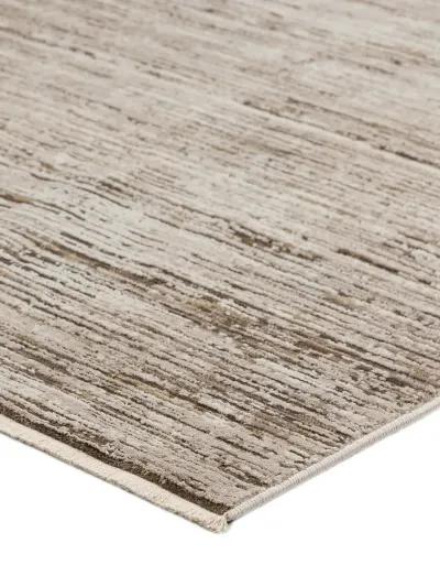 Denizi DZ1 Mocha 7'10" x 10' Rug