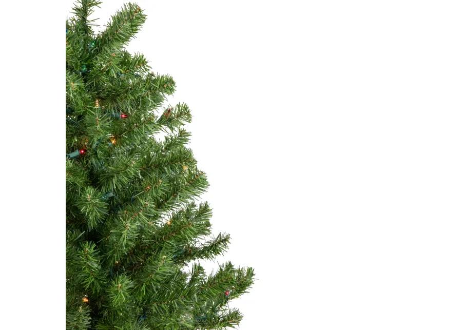 6' Pre-Lit Medium Canadian Pine Artificial Christmas Tree - Multicolor Lights