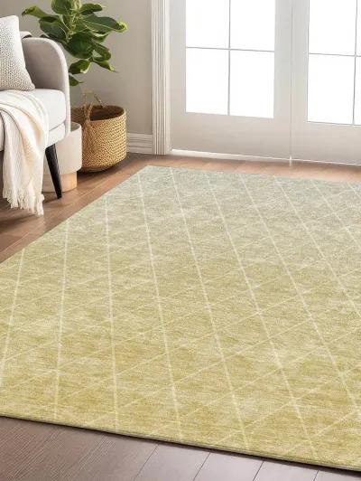 Lazio LZ2 Wheat 30" x 46" Rug