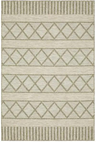 Tortuga 9'10" x 12'10" Beige Rug