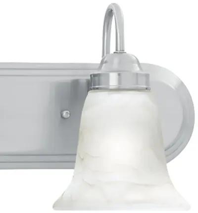 Homestead 18'' Wide 2-Light Vanity Light