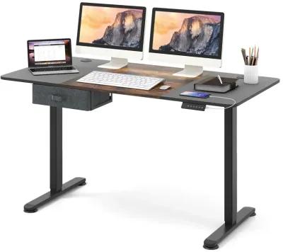 Height Adjustable Electric Standing Desk with USB Charging Port