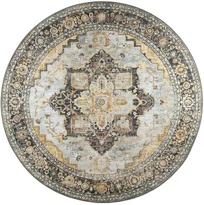 Jericho JC2 Pewter 10' Rug